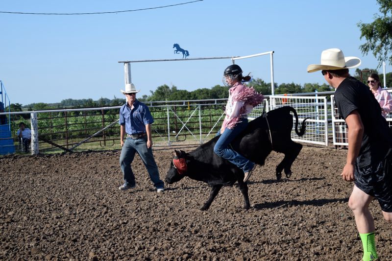  Rodeo steer princess