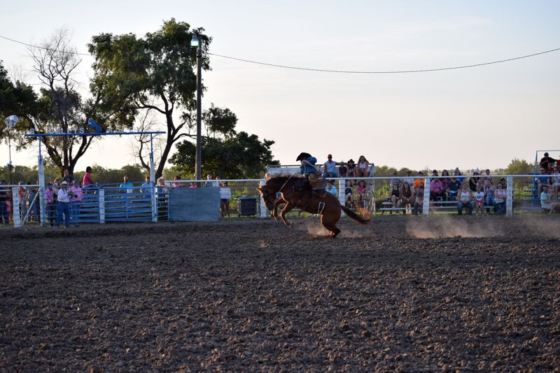  Rodeo Andy Johnson