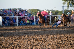 Rodeo steer wrestling