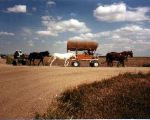 Riders starting the Fort Hays - Fort Dodge Trail Ride.