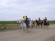 trailride
