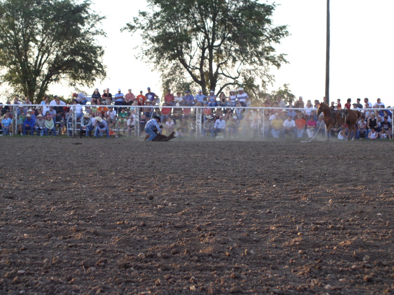 travis calf roping