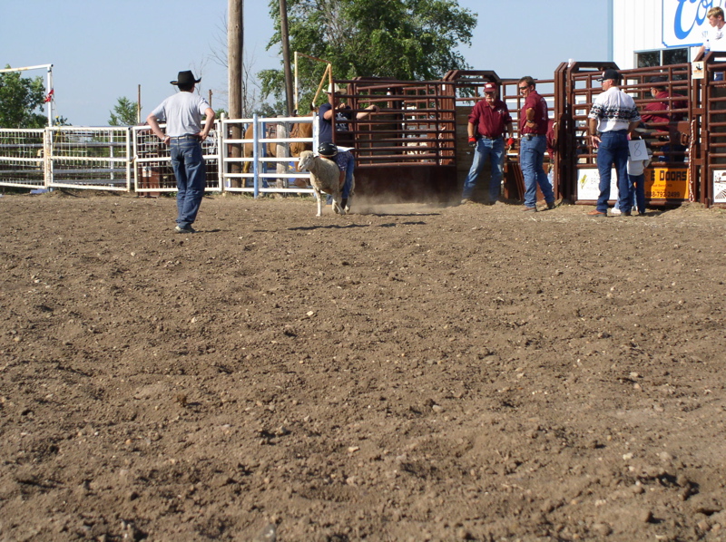 Trace Brackney, LaCrosse, was one of those who did the mutton busting.  His father, Mark, centered right was encouraging him.  The large pictures that I sent are courtesty of the Rush County News and Stacie Sandall, feature writer.