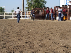 Trace Brackney, LaCrosse, was one of those who did the mutton busting.  His father, Mark, centered right was encouraging him. The large pictures that I sent are courtesty of the Rush County News and Stacie Sandall, feature writer.
