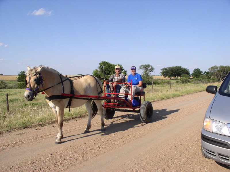 Trail Ride