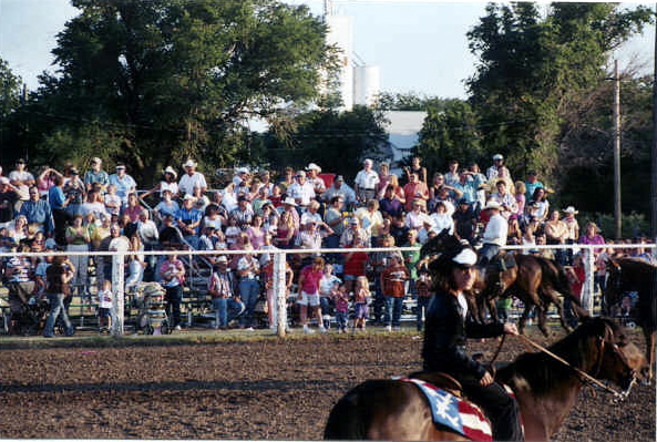 Enthusiastic rodeo crowd