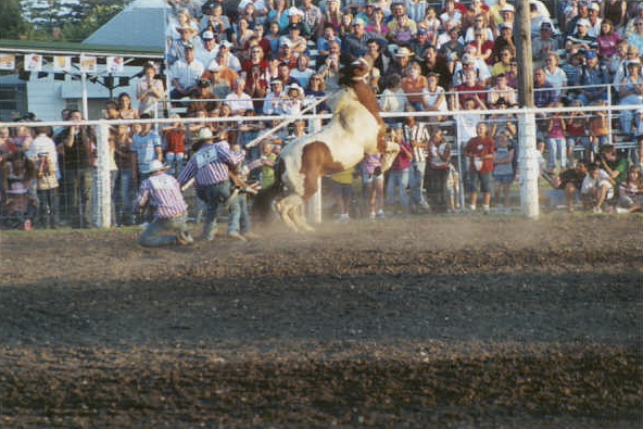 Trying to hold on to the horse