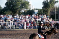 Enthusiastic rodeo crowd