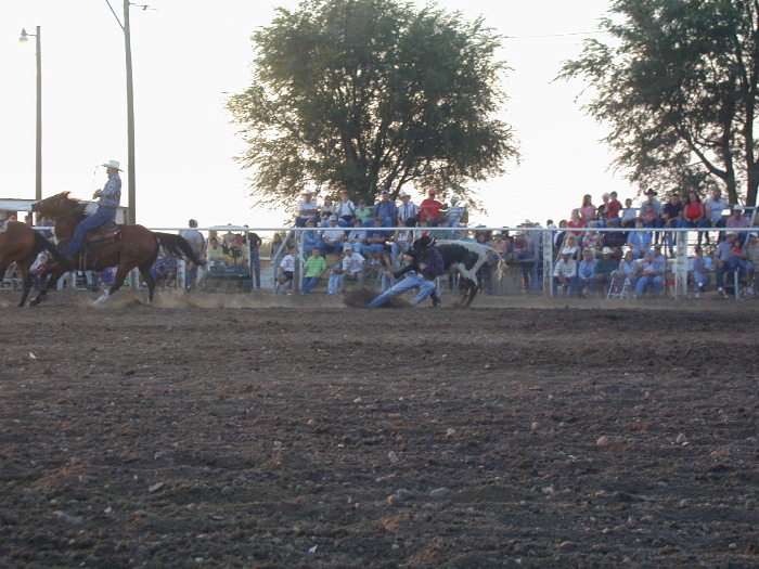 nate hays - steer wrestle 